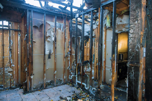 Professional Fire Damage Removal technician working in Judsonia, AR
